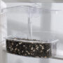 Observer Window Bird Feeder – Droll Yankees – 2 Cups